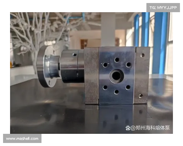 刺客必备装备解析与生存技巧全面指南帮助你成为真正的暗影杀手 刺客必备装备解析与生存技巧全面指南帮助你成为真正的暗影杀手