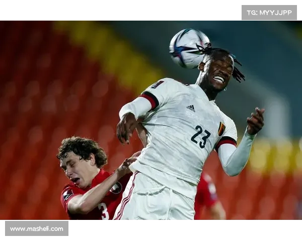 巴舒亚伊语言特点及其在当代社会中的文化与社会影响分析