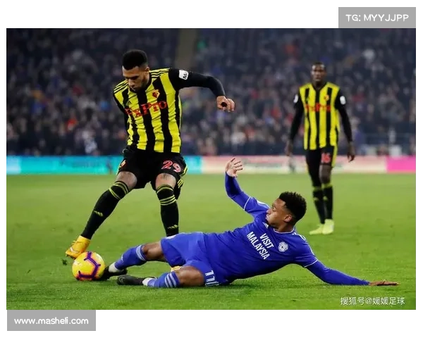 加的夫城足球俱乐部的联赛历史发展与成就探析 加的夫城足球俱乐部的联赛历史发展与成就探析