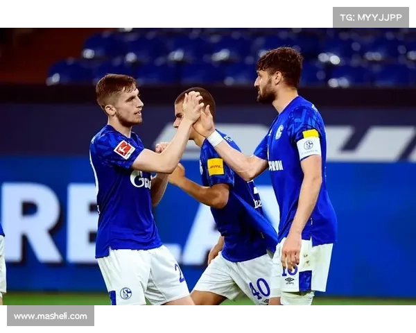 法尔范在沙尔克04的角色与战术影响力分析 法尔范在沙尔克04的角色与战术影响力分析