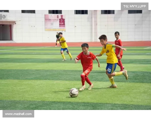 学校体育政策对青少年足球参与度的影响及其提升路径研究