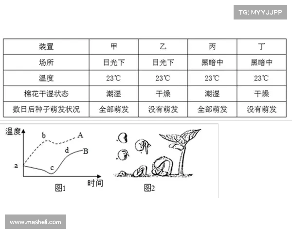 巴阿大战平局局面的五大原因解析与影响因素分析 巴阿大战平局局面的五大原因解析与影响因素分析
