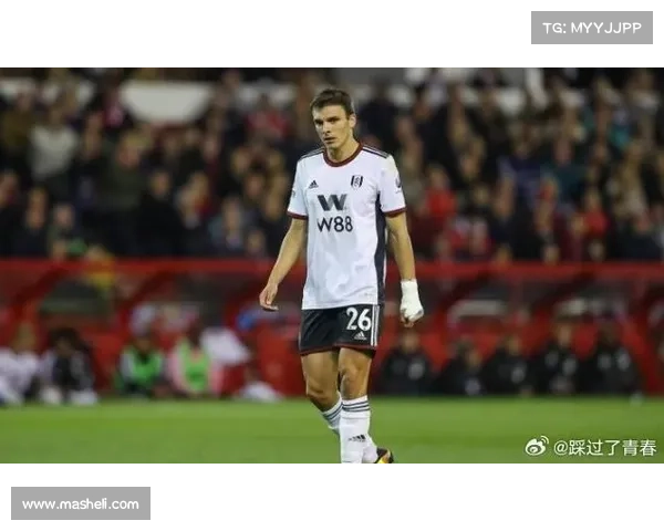 帕利尼亚对拜仁冬窗转会的独到见解与深度分析