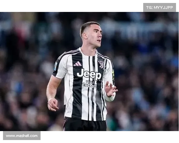 弗拉霍维奇从挑战到突破的进球之路与奋斗精神解析 弗拉霍维奇从挑战到突破的进球之路与奋斗精神解析